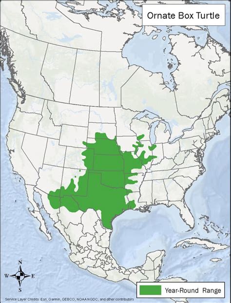 box turtle distribution map|eastern box turtle food.